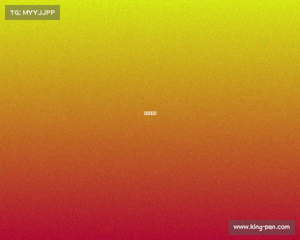 突尼斯球星 突尼斯球星